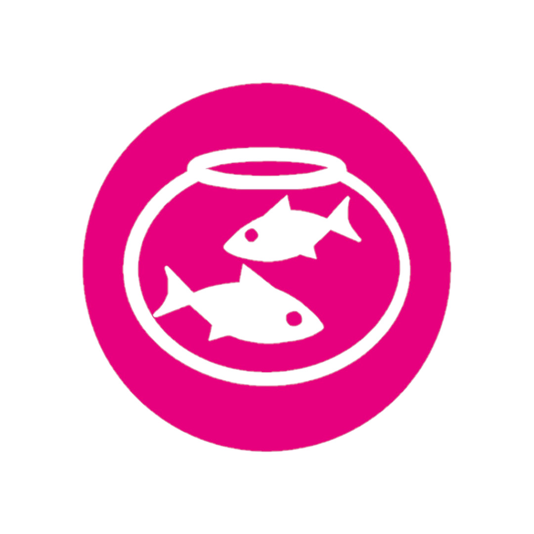 membrane pumps, air pumps, aeration pumps, aquarium lighting, aquarium heaters, titanium tube heaters, PTC heaters, metal heaters, aquarium thermostats, LED aquarium lighting, LED string lights, pumps for fish transports, heaters and pumps for seawater aquariums, PVC hose, silicone hose, outflow nozzles, air stones, non-return valves, check valves